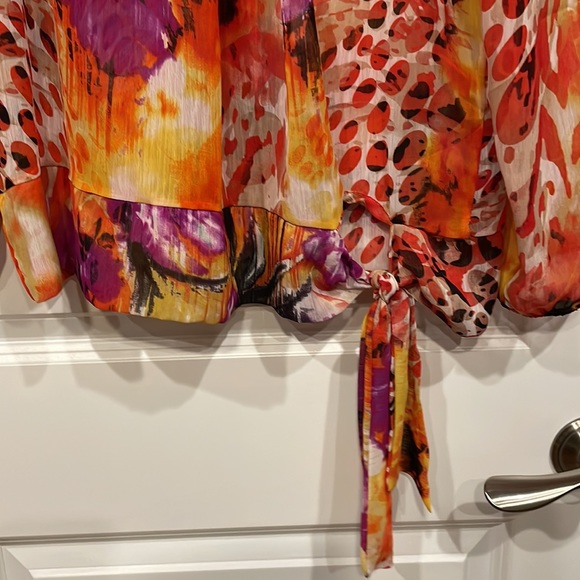 Ladies sheer top. - Picture 2 of 4